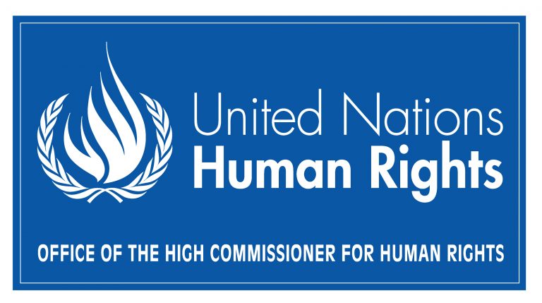 REPORT | Turkey: UN report details extensive human rights violations during protracted state of emergency