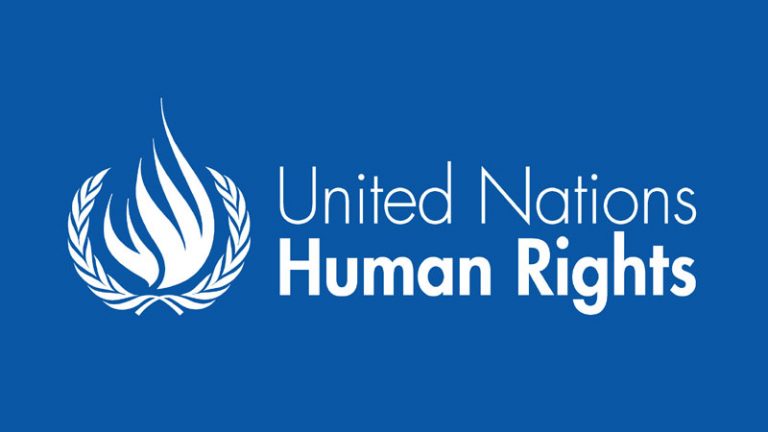 Highlights from the UN HRC Working Group on Arbitrary Detention Opinions concerning judge couple Melike Göksan and Mehmet Fatih Göksan (Turkey)